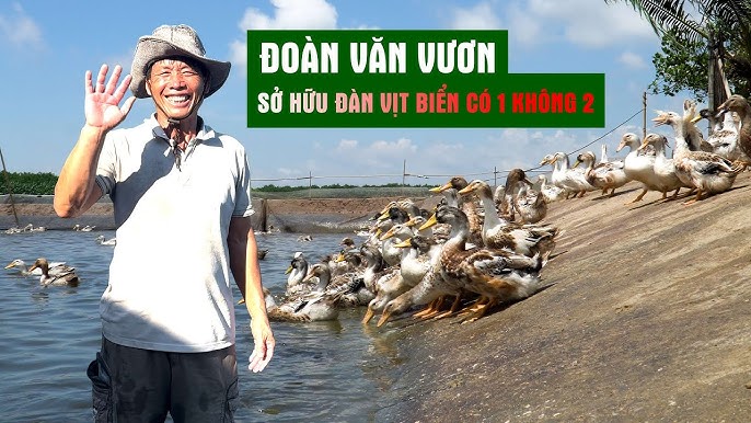 Vịt Biển Đoàn Văn Vươn